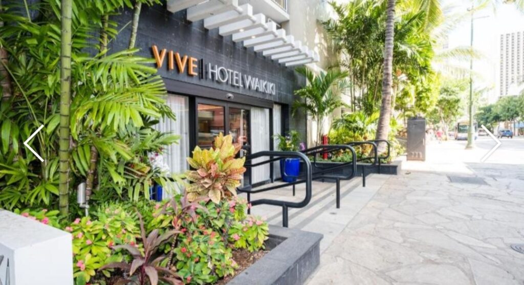 바이브 호텔 와이키키 좋네